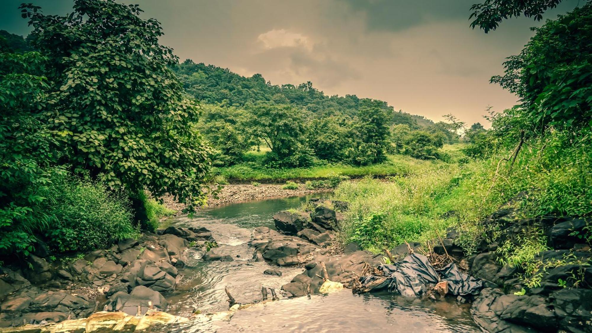 Whispering Peepul Resort Badlapur Exterior foto